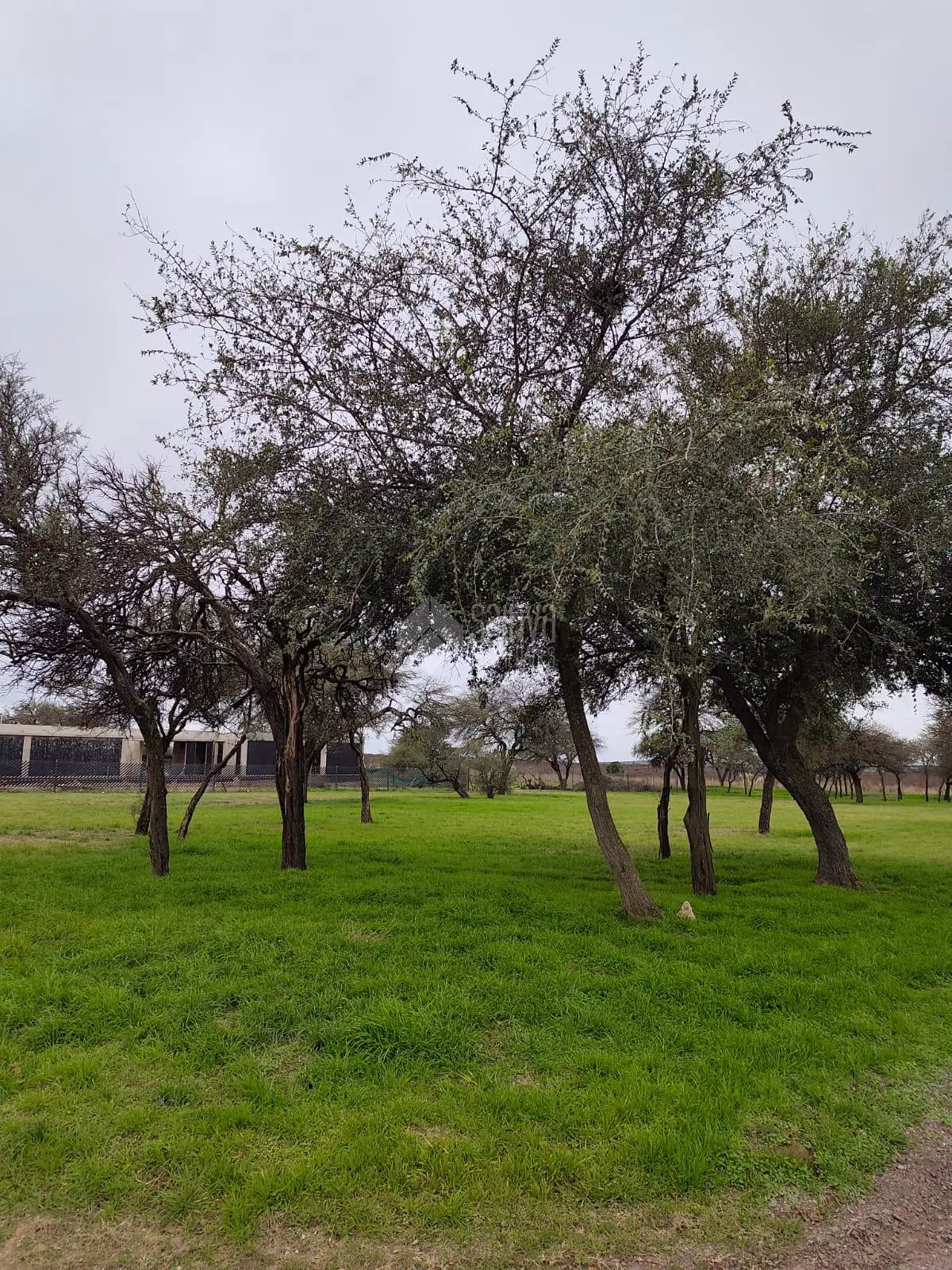 TERRENO A LA VENTA ESTACION DEL CARMEN